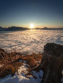 Gouden uur over Salzburg van Thomas Weber BGL