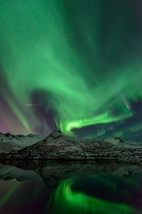 Nordlichter über den Lofoten in Norwegen