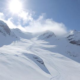 Ursache der Lawine von Stilbeeld Studio