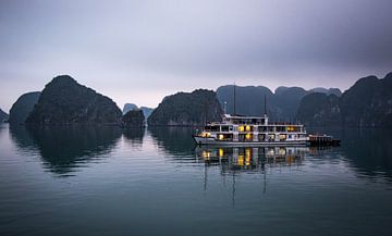 Halong Bay, Vietnam van Anita van Gendt