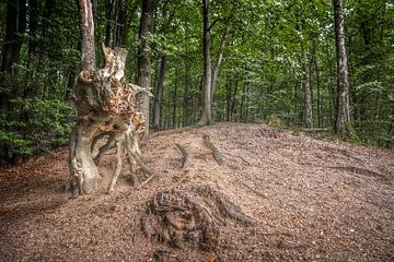 Kunstige boomstronk op heuvel in Landgoed Duno van Artist Impression of Nature