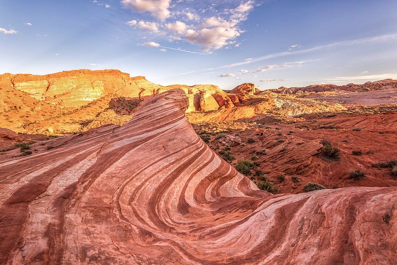 A Strawberry Cheesecake Swirl by Joseph S Giacalone Photography