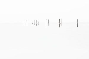 Silence II