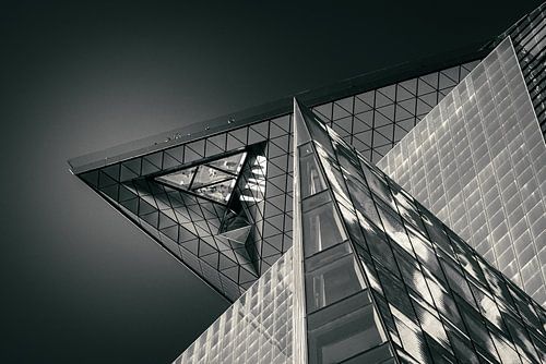 The Edge