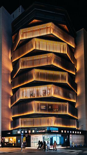 Tokio bei Nacht II - Shinjuku City