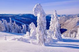 Feldber Black Forest by Patrick Lohmüller