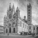 Italië in vierkant zwart wit, Duomo di Siena van Teun Ruijters thumbnail