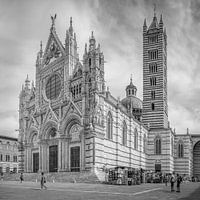 Italien im Quadrat schwarz und weiß, Duomo di Siena