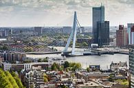 Die Erasmusbrücke Rotterdam von Menno Schaefer Miniaturansicht