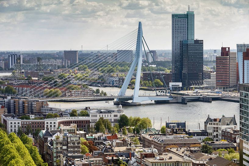 Le pont Erasmus de Rotterdam par Menno Schaefer