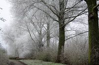 Winterse wandeling