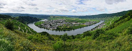 Moselschleifen