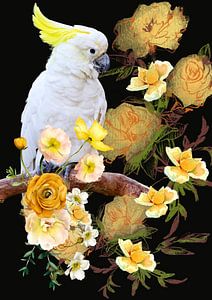 Cockatoo with yellow flowers
