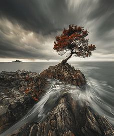 Nature contrast in Sweden