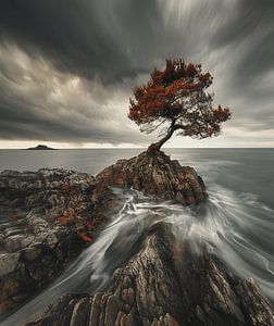 Naturkontrast in Schweden