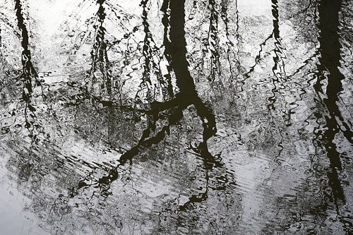 Ondulations