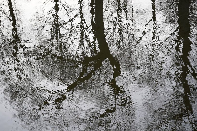 Rimpelingen van Madeltijntje