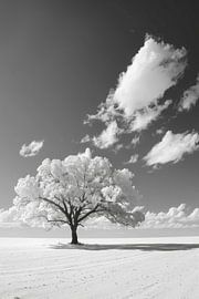 Baum von Poster Art Shop