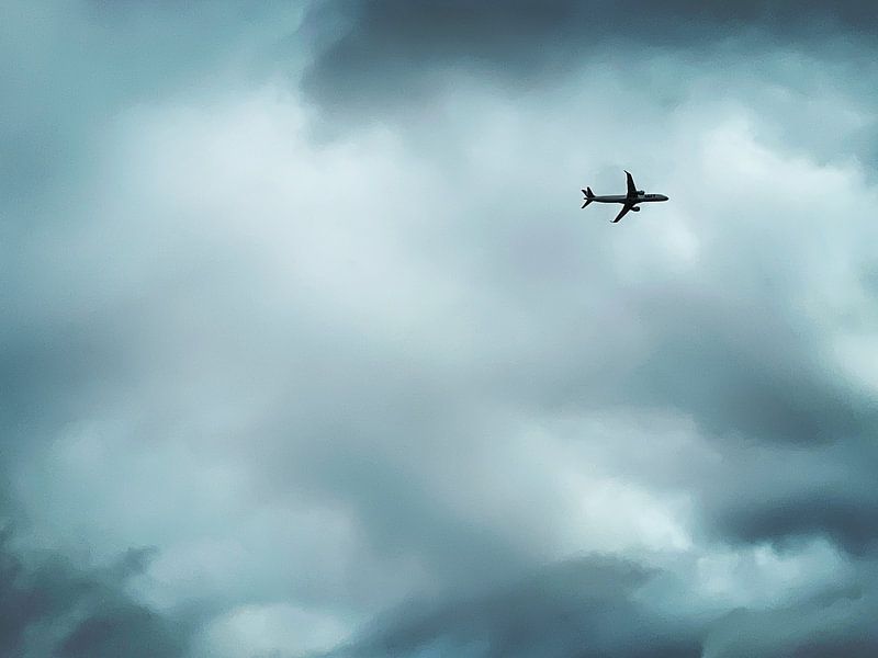 Fliege weg an einem traurigen Tag von tim vd mark