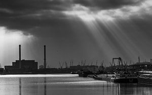 Maashaven Rotterdam