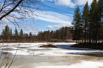 Een bevroren meer in Finland van Irene Hoekstra