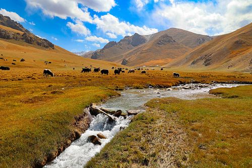 Landscape Kyrgyzstan