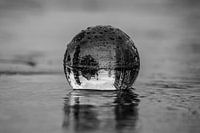 Linsenkugel im Regen