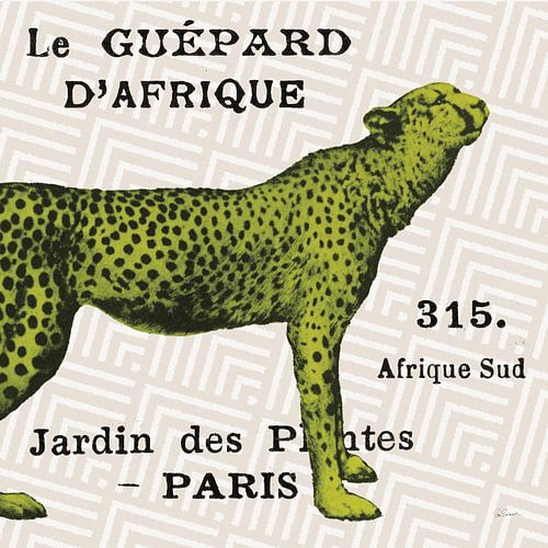 Bright Safari Leopard on Taupe, Sue Schlabach