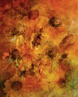 Sonnenblumen