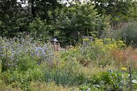 Tuin vol wilde bloemen