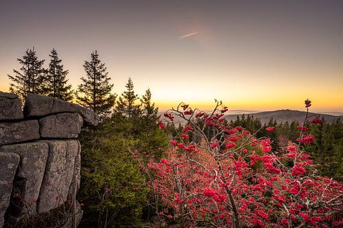 View from the Zeterklippe