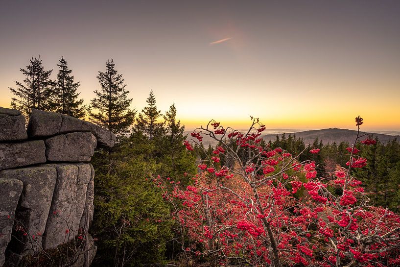 View from the Zeterklippe by Steffen Henze