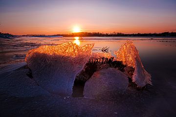 Winter im Biesbosch von Eddy Westdijk