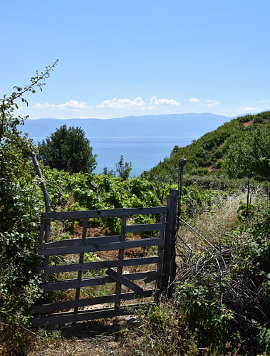 Bij Lin aan het Ohrid meer 1