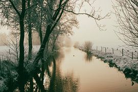 Morning Mist on the Waterfront - Warmth in the Cold by Jan Willem Oldenbeuving