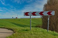 Wrong Arrows, Right Direction: The Lelystad Dike and the Oostvaardersplassen.