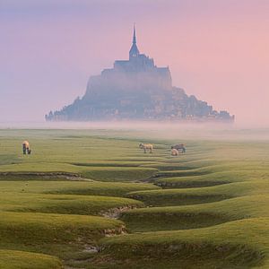 Sonnenaufgang am Mont Saint-Michel in der Normandie