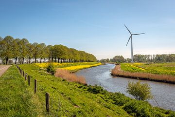Malerische niederländische Landschaft im Frühling