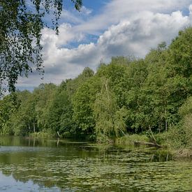 Borner See im Naturschutzgebiet Tantelbruch bei Brüggen von Peter Eckert