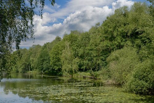 Borner See in het natuurreservaat Tantelbruch bij Brüggen