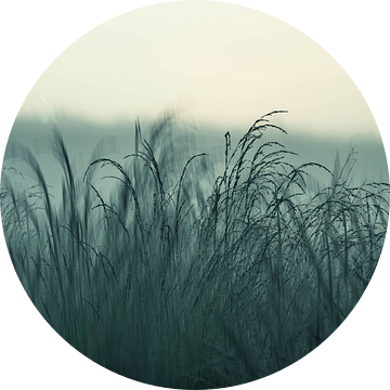 Rozendaalse veld part 16