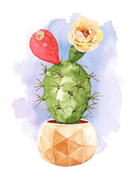 Cactus met bloem