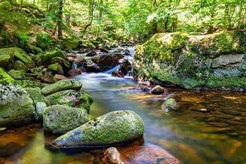 Uitzicht op de watervallen van de Ilse in het Harzgebergte van Andreas Völkel