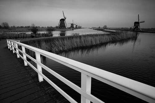 Windmolens in Kinderdijk in zwart-wit