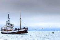 Bultrug en toeristenboot van Sam Mannaerts thumbnail