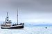 Buckelwal und Touristenboot von Sam Mannaerts
