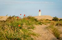 Pad door de duinen naar de vuurtoren Rubjerg Knude van Andrea Gaitanides - Fotografie mit Leidenschaft thumbnail