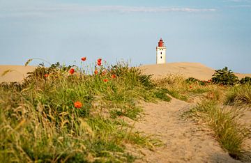 Chemin à travers les dunes jusqu'au phare de Rubjerg Knude sur Andrea Gaitanides - Fotografie mit Leidenschaft