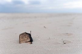 Strand Vlieland von Dave Oudshoorn