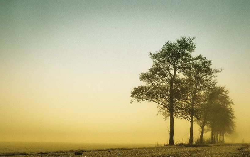 Country Road by ZEVNOV .